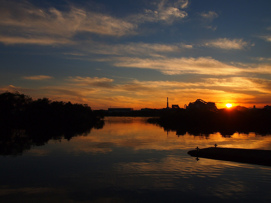 pa155416.jpg